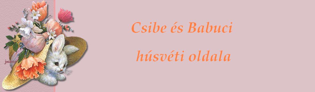 csibe-babuci13